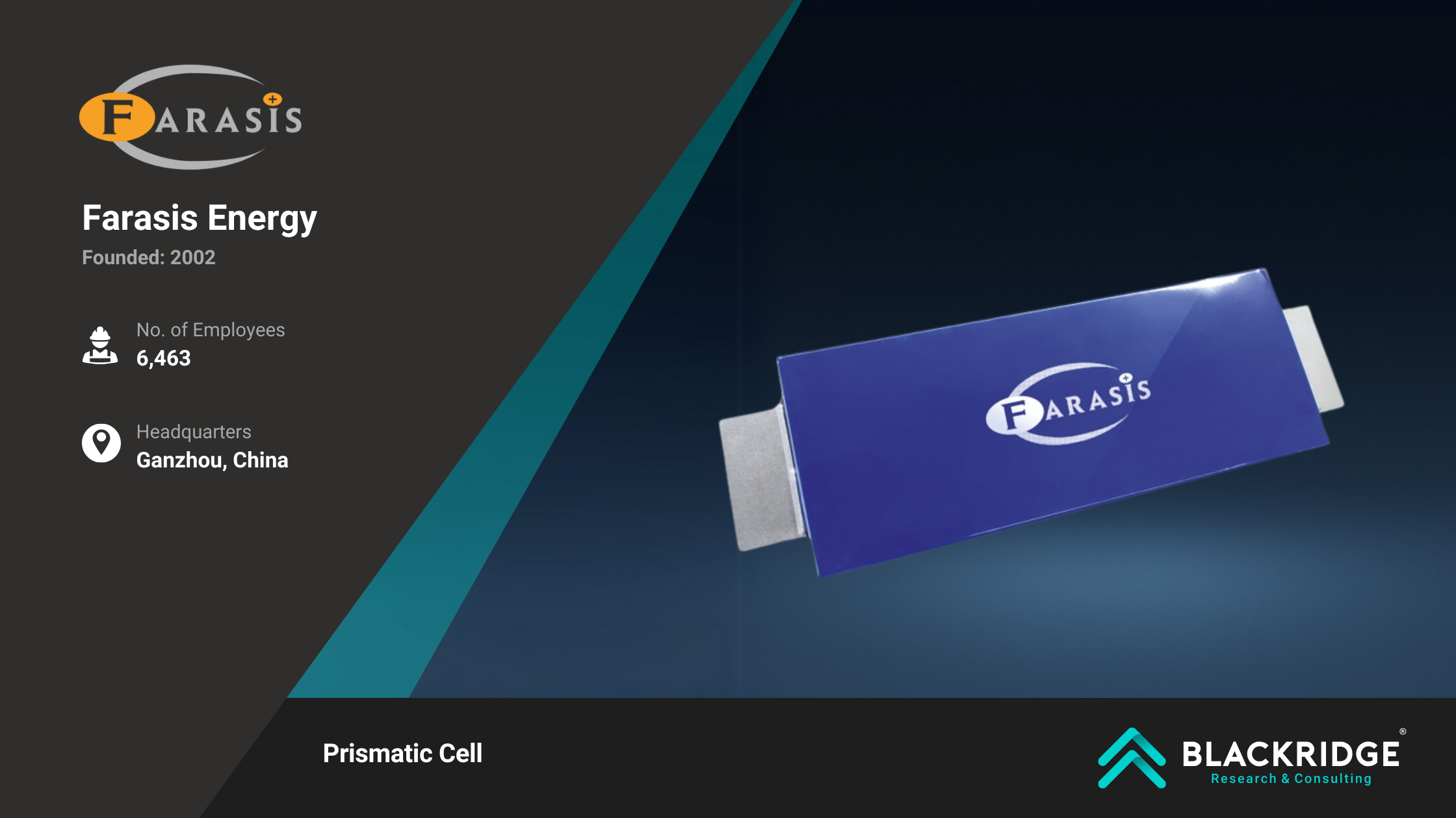 lithium-ion battery manufacturers